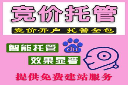 竞价推广成功案例解析